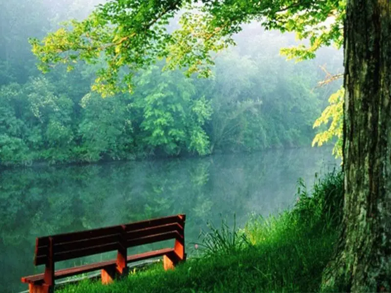 lake