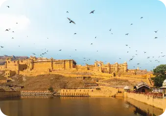 Amber Palace
