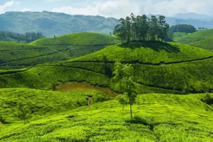 Munnar Tourist Places